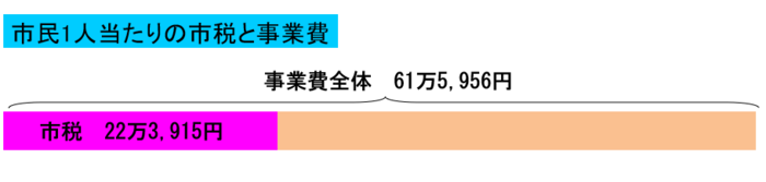 グラフ：市民一人当たりの市税と事業費