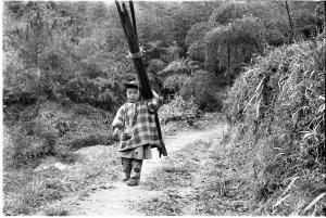 写真：竹を運ぶ少年