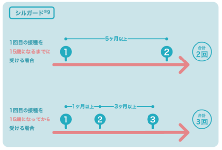 イラスト：接種スケジュール（シルガード9）