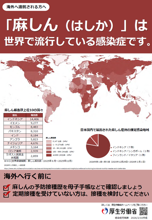 写真：出国前の注意事項　チラシ