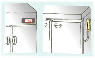 イラスト：温度計付