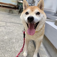 写真：7-10-1-1