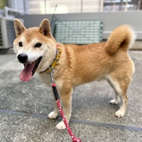 写真：7-10-1-2