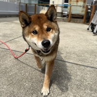 写真:8-5-1-2