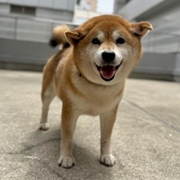 写真:8-5-2-1