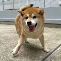 写真:8-5-2-2