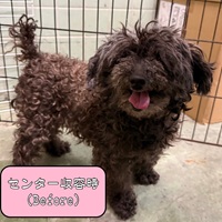 写真:8-7-1-1