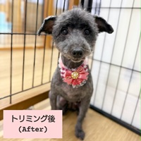 写真:8-7-1-2