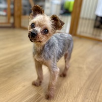 写真：7-7-18-1
