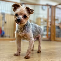 写真：7-7-18-2