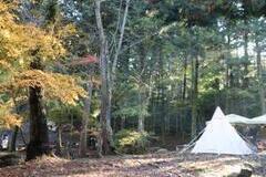 写真：森の中に設置したテント