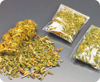 乾燥大麻の写真