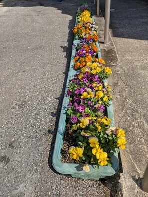 大原台集会所のプランターの写真1