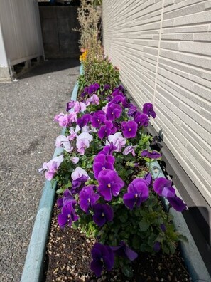 大原台集会所の花壇の写真2