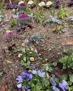 伴東三丁目11番沿いの畑の写真1