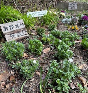 伴東三丁目11番沿いの畑の写真2