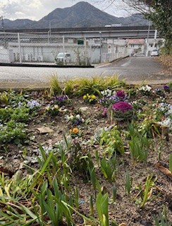 みんなの花壇の写真3