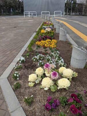 沼田公園の花壇の写真1