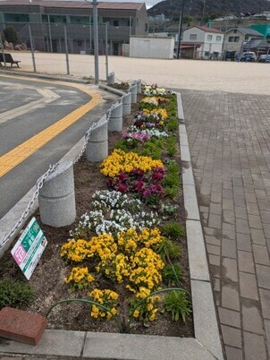 沼田公園の花壇の写真2