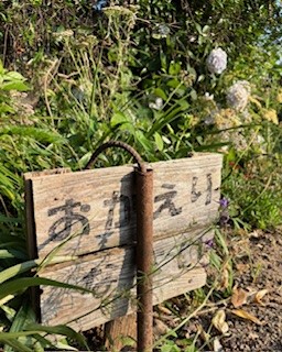 伴東三丁目11番沿いの畑の写真2