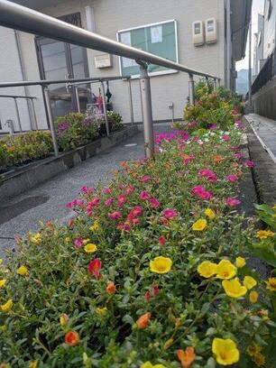 大原台集会所の花壇の写真2