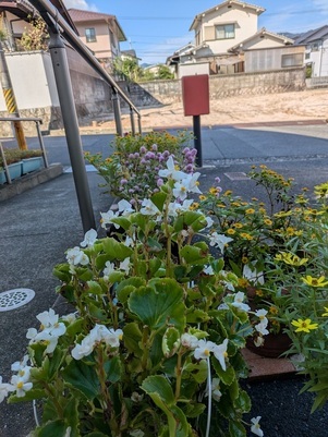 大原台集会所の花壇の写真2