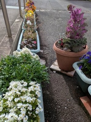 大原台集会所の花壇の写真2