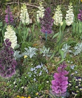 伴東三丁目11番沿いの畑の写真1