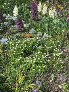 伴東三丁目11番沿いの畑の写真1