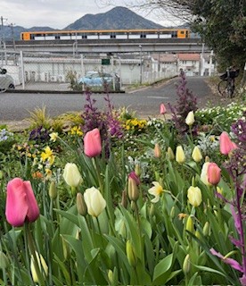 伴東三丁目11番沿いの畑の写真1