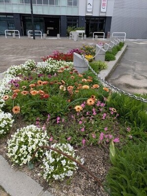 沼田公園の花壇の写真1