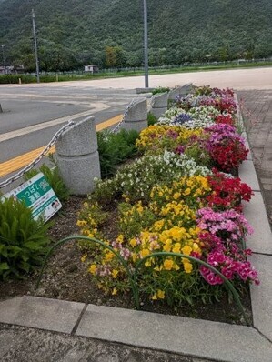 沼田公園の花壇の写真2