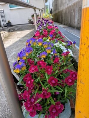 大原台集会所の花壇の写真2