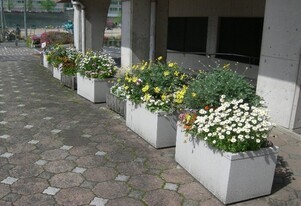 スポーツセンターの花壇の写真1