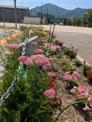 沼田公園の花壇の写真2