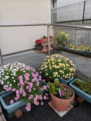 大原台集会所のプランターの写真1