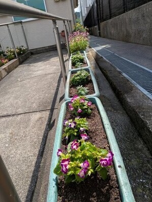 大原台集会所の花壇の写真2