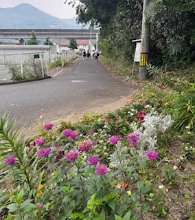 伴東三丁目11番沿いの畑の写真1