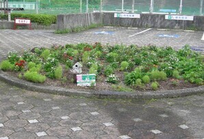 スポーツセンターの花壇の写真2