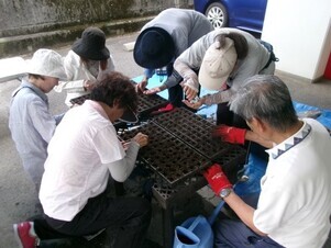 大塚公民館の花壇の写真1