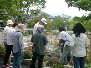 大塚公民館の花壇の写真2