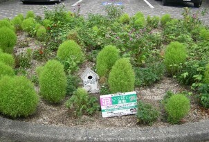 スポーツセンターの花壇の写真1