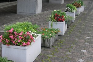 スポーツセンターの花壇の写真2
