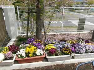 大塚公民館の花壇の写真2
