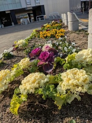 沼田公園の花壇の写真1