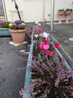 大原台集会所の花壇の写真2