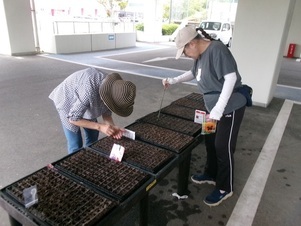大塚公民館の花壇の写真2
