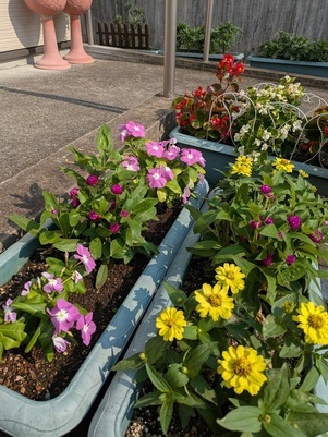 大原台集会所の花壇の写真2