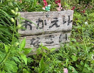 伴東三丁目11番沿いの畑の花壇の写真4