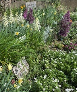 伴東三丁目11番沿いの畑の写真1